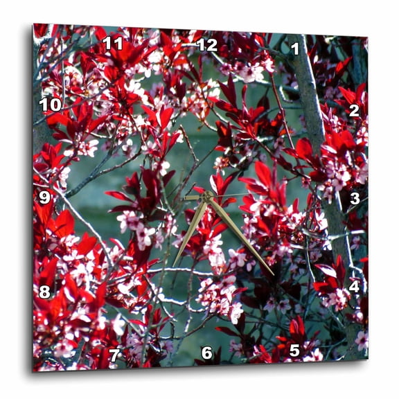 3drose, Maroon and Pink Flowers All over a Bush in Springtime, 10x10 Wall Clock