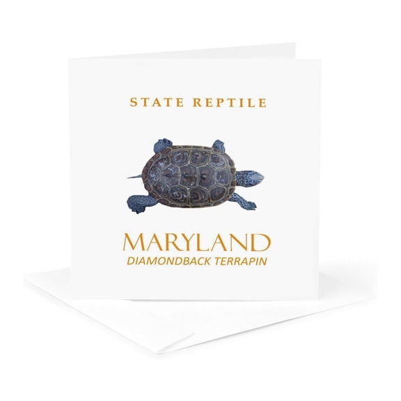 3drose, Maryland Territory Reptile the Freshwater Turtle, 1 Greeting Card with Envelope