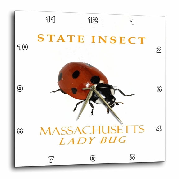 3drose, Massachusetts Territory Insect the Lady Bug, 15x15 Wall Clock