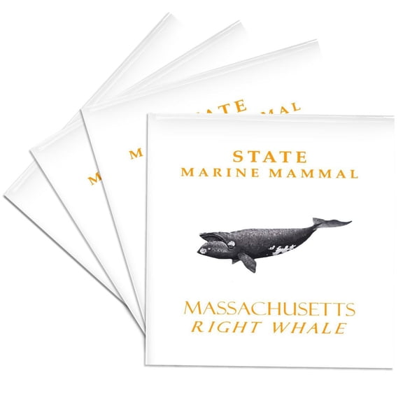 3drose, Massachusetts Territory Marine Mammal the Right Whale, Set of 4 Ceramic Tile Coasters