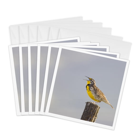 3drose, Meadowlark Bird on a Fence Post Near Moiese Montana - Us27 Cha0838 - Chuck Haney, 6 Greeting Cards with Envelopes