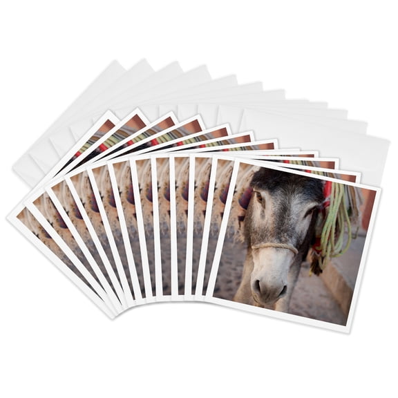 3drose, Mexico, San Miguel De Allende. Donkey Carrying Load., 12 Greeting Cards with Envelopes