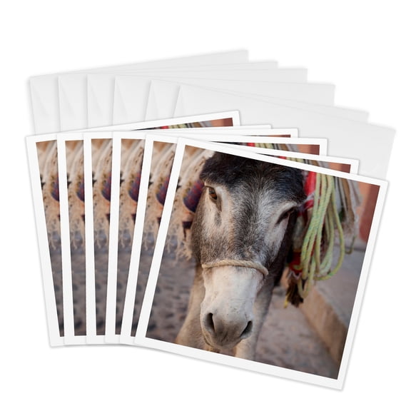 3drose, Mexico, San Miguel De Allende. Donkey Carrying Load., 6 Greeting Cards with Envelopes