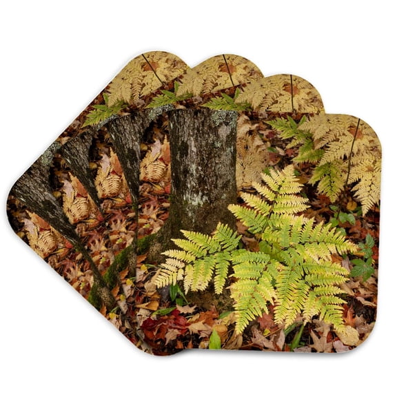 3drose, Michigan, Pictured Rocks National Lakeshore. Arch in Sandstone., Set of 4 Coasters - Soft