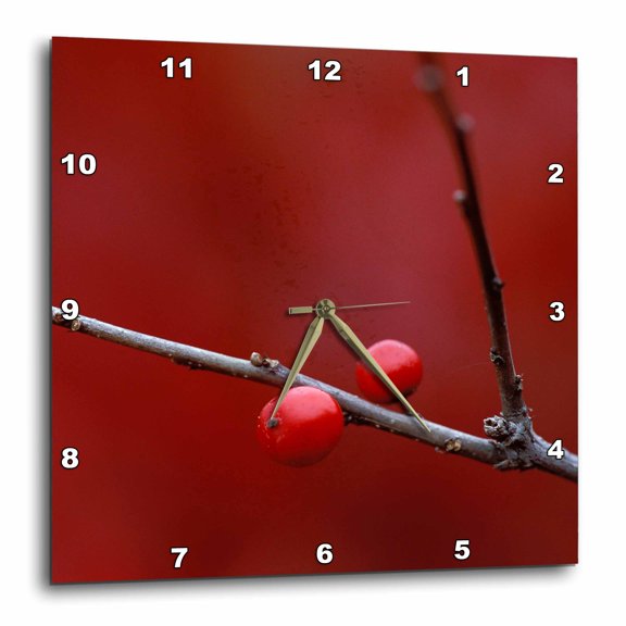 3drose, Michigan, Winterberry Holly Berries - Us23 Bja0052 - Jaynes Gallery, 10x10 Wall Clock