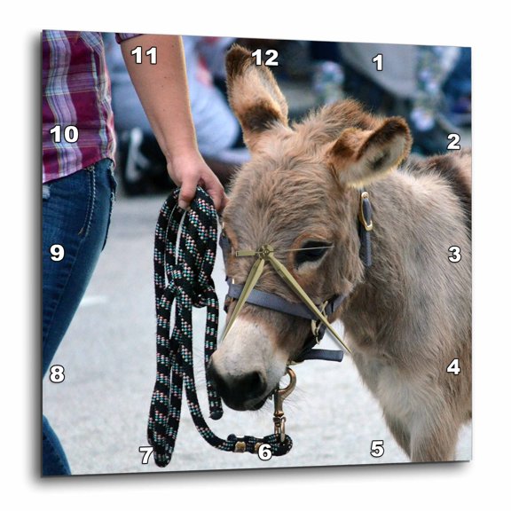 3drose, Miniature Donkey Head Halter Animal, 10x10 Wall Clock