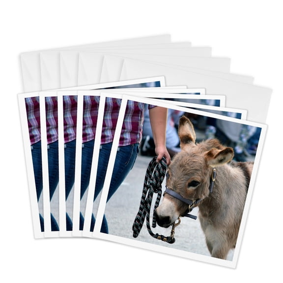 3drose, Miniature Donkey Head Halter Animal, 6 Greeting Cards with Envelopes