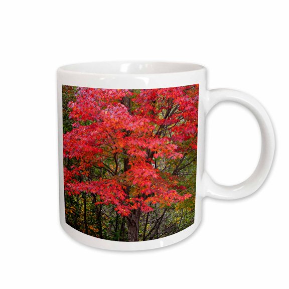 3drose, Minnesota, Superior National Forest. Fall Colors in Maple Tree., 15oz Mug