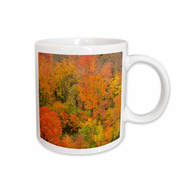 3drose, Minnesota, Superior National Forest. Trees in Autumn Colors., 11oz Mug