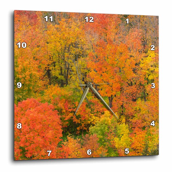 3drose, Minnesota, Superior National Forest. Trees in Autumn Colors., 13x13 Wall Clock
