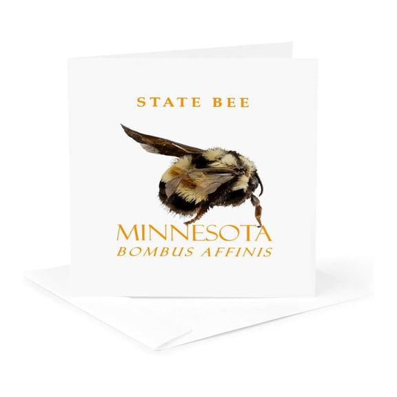 3drose, Minnesota Territory Insect the Rusty Patch Bumblebee, 1 Greeting Card with Envelope