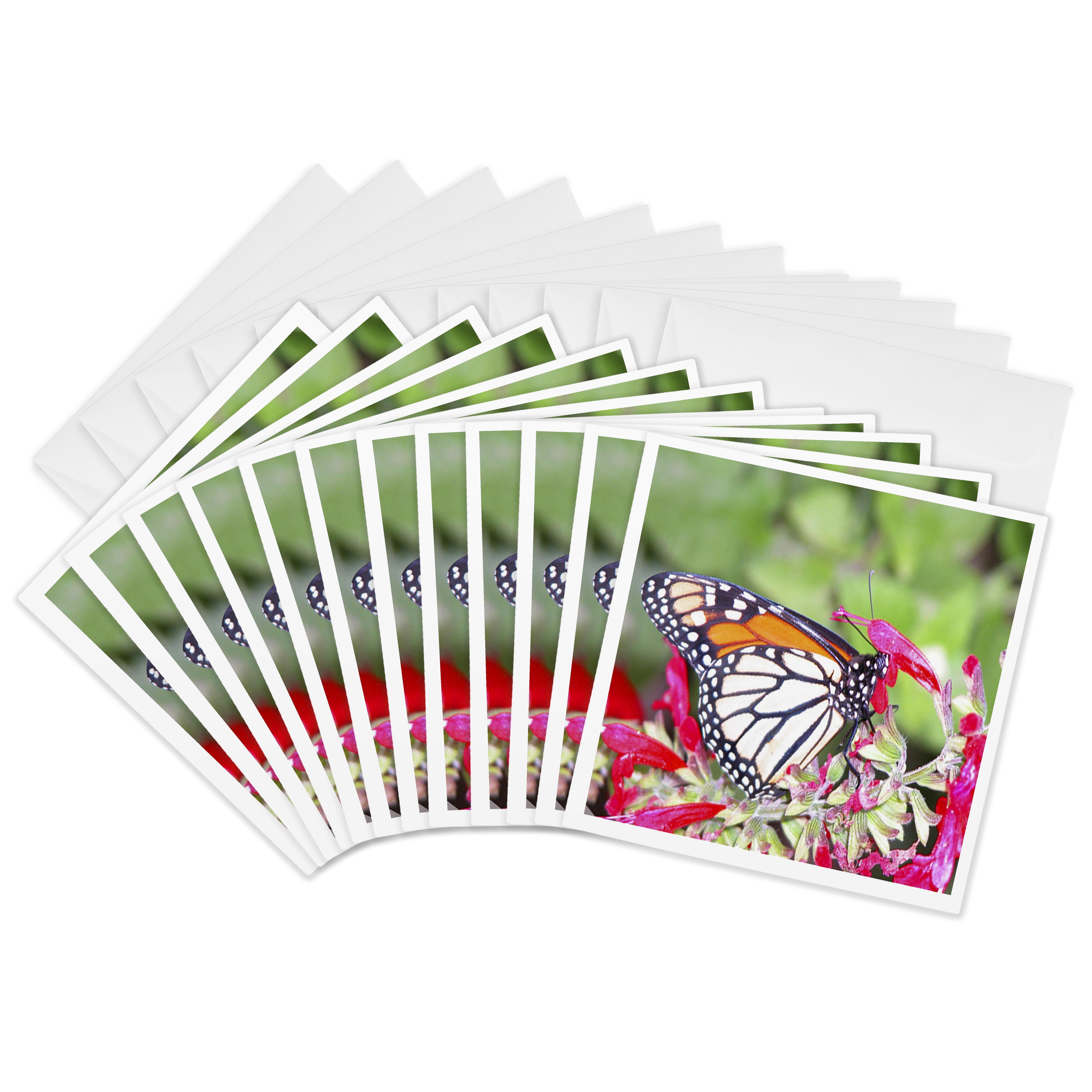 3drose, Monarch Butterfly in the Garden, 12 Greeting Cards with ...