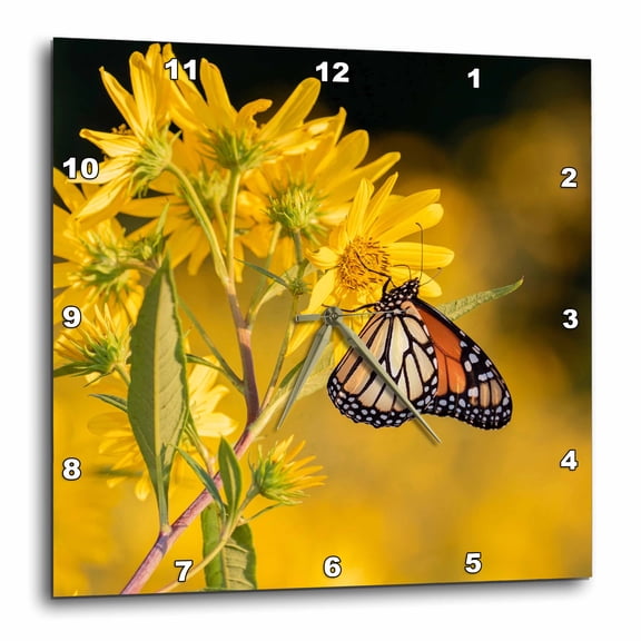 3drose, Monarch Butterfly on Butterweed. Prairie Ridge Natural Area, Illinois, 13x13 Wall Clock