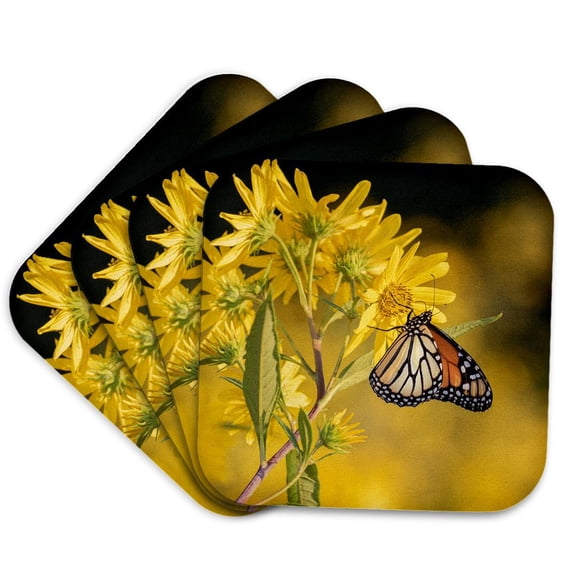 3drose, Monarch Butterfly on Butterweed. Prairie Ridge Natural Area, Illinois, Set of 4 Coasters - Soft