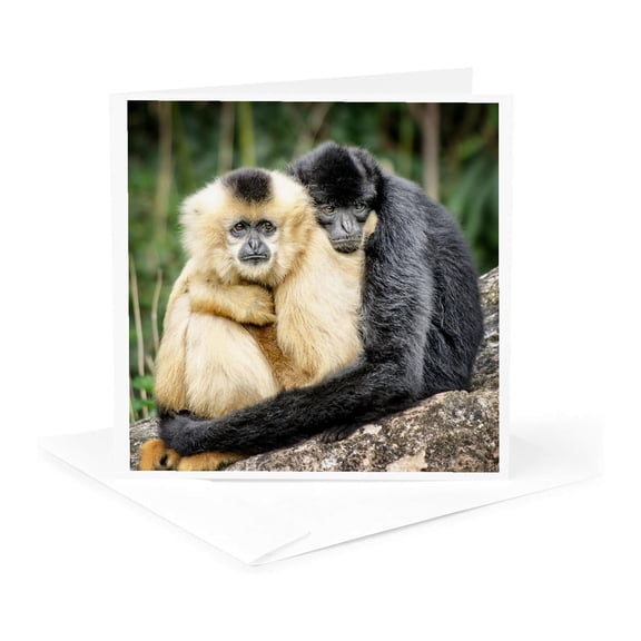 3drose, Monkeys Hugging. Popular Print, Image., 1 Greeting Card with Envelope