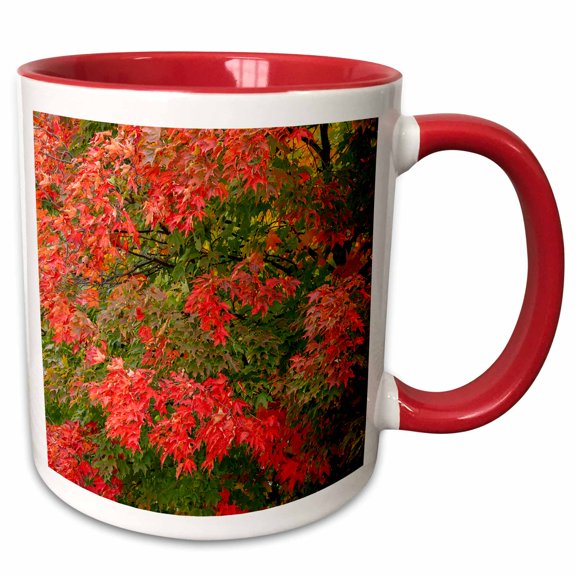 3drose, Montana, Flathead Lake. Lake at Sunset., 11oz Two-tone Red Mug