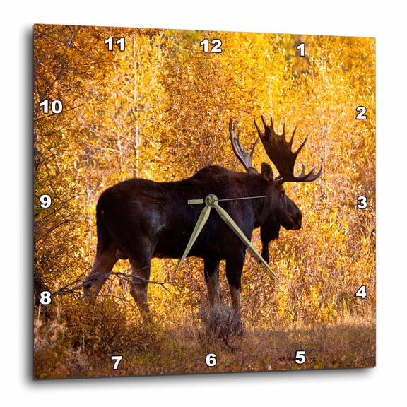 3drose, Moose Bull in Golden Willows., 10x10 Wall Clock