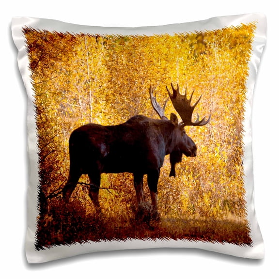 3drose, Moose Bull in Golden Willows., 16x16 inch Pillow Case