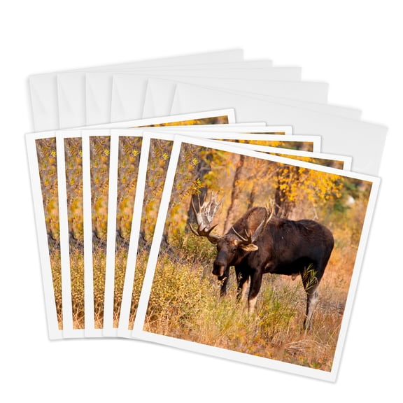 3drose, Moose Bull in Golden Willows., 6 Greeting Cards with Envelopes