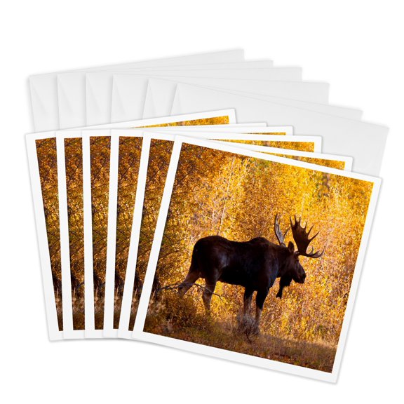 3drose, Moose Bull in Golden Willows., 6 Greeting Cards with Envelopes