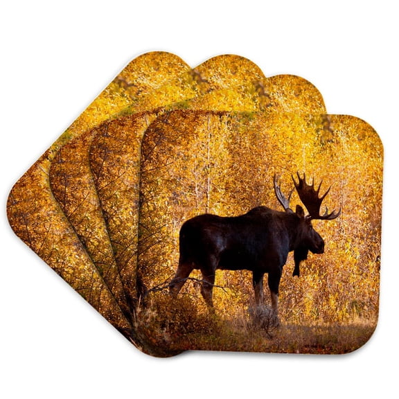 3drose, Moose Bull in Golden Willows., Set of 4 Coasters - Soft