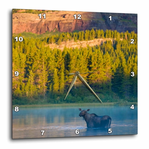 3drose, Moose in Fishercap Lake at Sunrise, Glacier Np, Montana, 10x10 Wall Clock