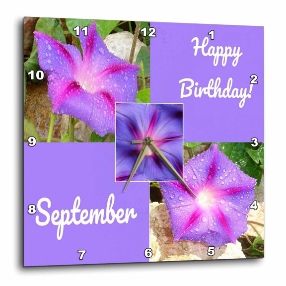3drose, Morning Glory Flowers Happy September Birthday, 10x10 Wall Clock