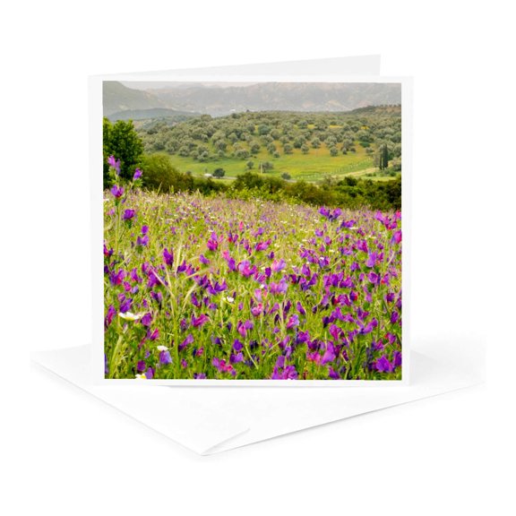 3drose, Morocco, Ifrane, Purple Spring Wild Flowers Bloom., 1 Greeting Card with Envelope