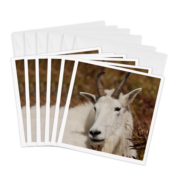 3drose, Mountain Goat Portrait, 6 Greeting Cards with Envelopes
