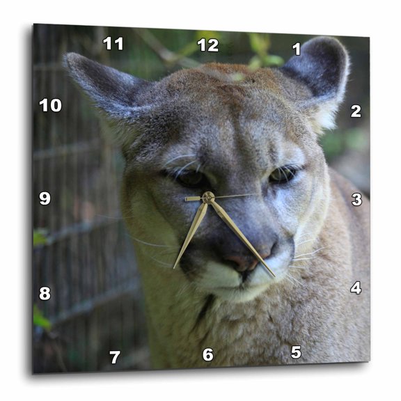 3drose, Mountain Lion Face Portrait, 15x15 Wall Clock