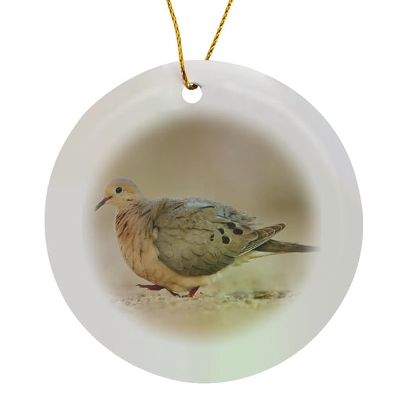 3drose, Mourning Dove Bird (zenaida Macroura) Walking - Us44 Ldi0987 - Larry Ditto, Circle Porcelain Ornament