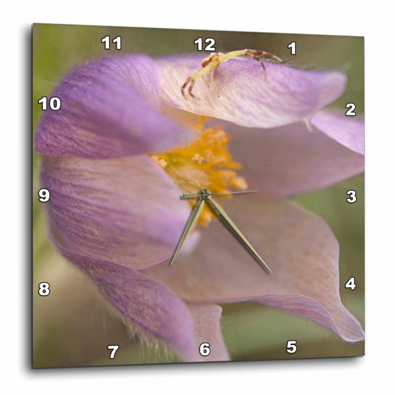 3drose, Mt, Pine Butte Guest Ranch. Crab Spider - Us27 Bja0040 - Jaynes Gallery, 15x15 Wall Clock