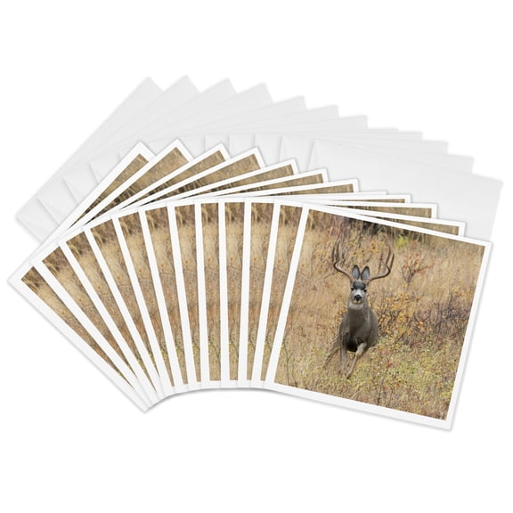 3drose, Mule Deer Buck Escaping Danger, 12 Greeting Cards with Envelopes