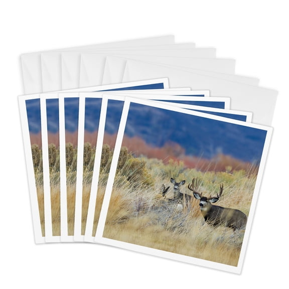 3drose, Mule Deer Buck with Does, 6 Greeting Cards with Envelopes