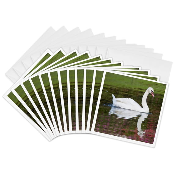 3drose, Mute Swan in Small Pond Reflection Springtime, South Carolina, 12 Greeting Cards with Envelopes