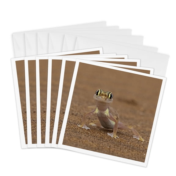 3drose, Namib Web Footed Sand Gecko, 6 Greeting Cards with Envelopes