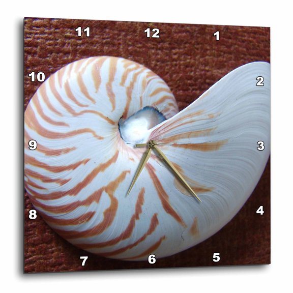 3drose, Nautilus Shell Ii, 13x13 Wall Clock