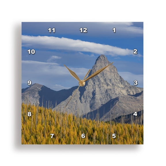 3drose, Nevada, Winnemucca. Annular Solar Eclipse, 13x13 Wall Clock