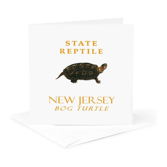 3drose, New Jersey Territory Reptile the Bog Turtle, 1 Greeting Card with Envelope