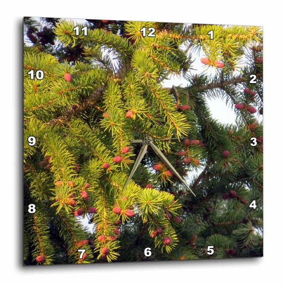 3drose, New Pine Cones Growing on a Tree Giving It New Life, 13x13 Wall Clock