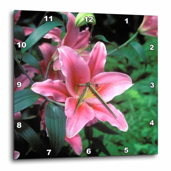 3drose, New York Botanical Gardens, Oriental Lily, Bronx., 13x13 Wall Clock