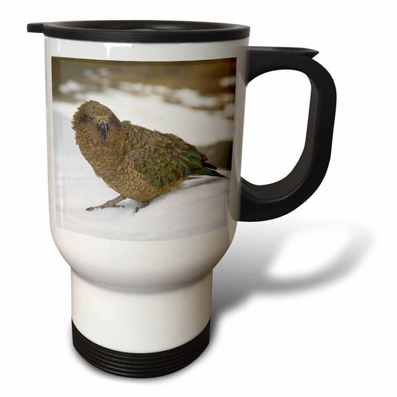 3drose, New Zealand, South Island, Arrowsmith, Kea Bird-au02 Fno0440 - Fredrik Norrsell, 14oz Stainless Steel Travel Mug