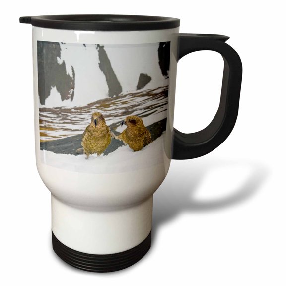 3drose, New Zealand, South Island, Arrowsmith, Kea Birds-au02 Fno0442 - Fredrik Norrsell, 14oz Stainless Steel Travel Mug