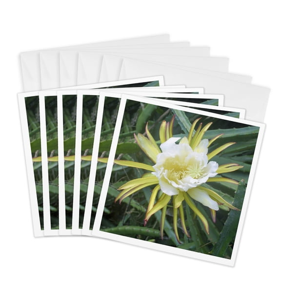 3drose, Night Blooming Cereus Flower - Na01 Dpb0025 - Douglas Peebles, 6 Greeting Cards with Envelopes