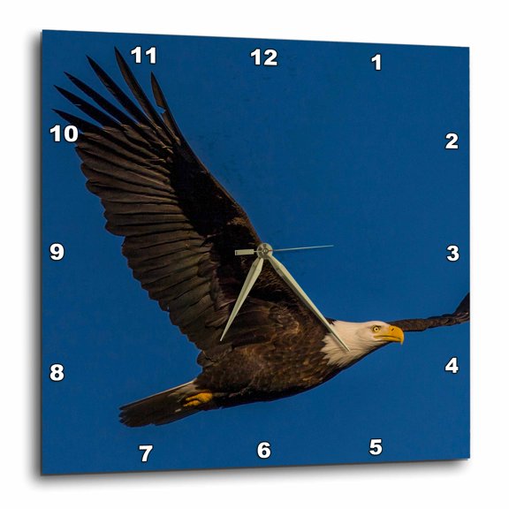 3drose, Nooksack River, Washington State,usa. Bald Eagle in Flight., 10x10 Wall Clock