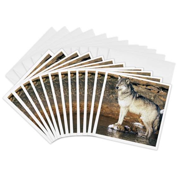 3drose, North America, Usa, Minnesota. Wolf (canis Lupus) - Us24 Gje0024 - Gavriel Jecan, 12 Greeting Cards with Envelopes