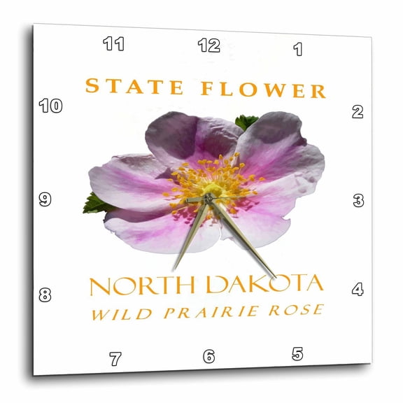 3drose, North Dakota Territory Flower Wild Prairie Rose, 15x15 Wall Clock