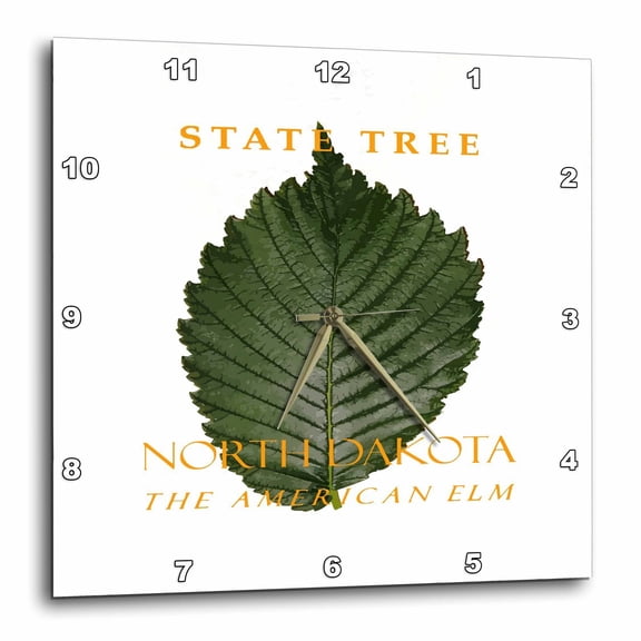 3drose, North Dakota Territory Tree the American Elm, 10x10 Wall Clock