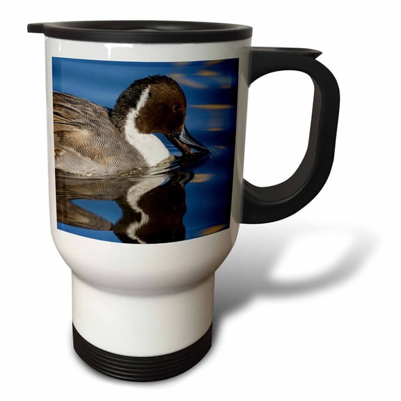 3drose, Northern Pintail Drake Foraging, 14oz Stainless Steel Travel Mug