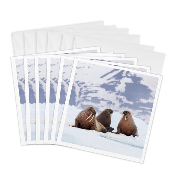 3drose, Norway, Svalbard, Pack Ice, Trip of Walruses Rest on the Ice, 6 Greeting Cards with Envelopes